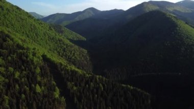Baharda dik yeşil orman tepelerinin havadan görünüşü. Vadide bir nehir ve bir yol akıyor.. 