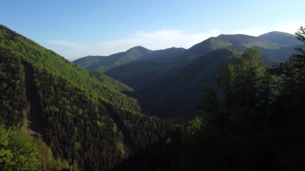 Vue aérienne de la vallée entre des collines escarpées avec des forêts denses dans les montagnes des Carpates. — Video