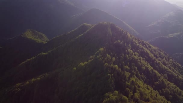 Vista Aerea Paesaggio Boscoso Con Ripide Colline Boscose Bosco Primaverile — Video Stock