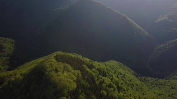 Vue Aérienne Paysage Boisé Avec Des Collines Boisées Abruptes Forêt — Video