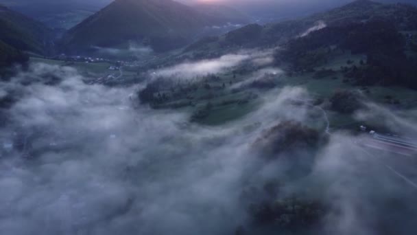 Luftaufnahme Dicker Weißer Wolken Einem Bergwaldtal Über Den Bäumen Wolkenumkehrung — Stockvideo