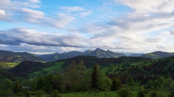 Une Vue Panoramique Sur Paysage Montagneux Forestier Des Carpates Fin — Video