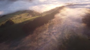 Sis ilkbahar manzarasında yayılıyor güneşin doğuşuyla güzel bahar doğasında. Yüksek kalite 4k görüntü