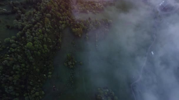 Widok Góry Zanikająca Mgła Dolinie Pod Zielonym Lasem Wiosny Droga — Wideo stockowe