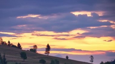 Renkli bir alacakaranlıkta ağaçlı bir dağ çayırının ayrıntıları. Telefoto atışı. Zaman Dilimi 4K