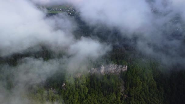 霧が松の森の上に霧 霧の日の間に山の丘の上のトウヒの森の空中映像 美しい夏の森の中の朝の霧 — ストック動画