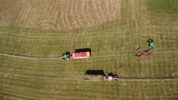 Der Landwirt Beschleunigt Die Trocknung Des Heus Indem Das Geerntete — Stockvideo