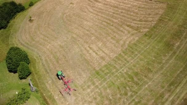 Фермер Збирає Сухий Сіно Переміщуючи Зібрану Сіно Тракторним Турбіною Вид — стокове відео