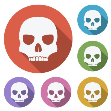 Düz şekilli beyaz kafatasları.