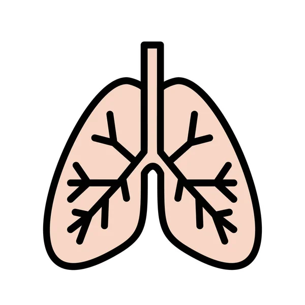 Poumons Organe Interne Lineal Couleur Vecteur Icône Isolé Sur Blanc — Image vectorielle