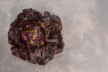 Kırmızı salata yaprakları gri taş arka planda, üst manzara düz yerde..