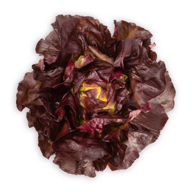 Beyaz arkaplanda taze kırmızı marul..