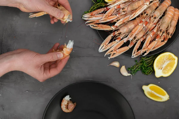 Male hands cleaning boiled langoustines on black plate isolated on gray concrete table. Served with lemon and spicy herbs.