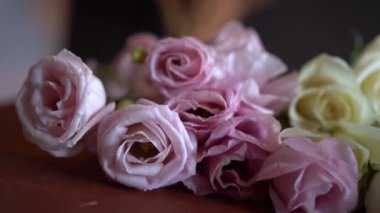 Bokeh 'le yakın plan pembe çiçek Eustoma. Çiçekçi.