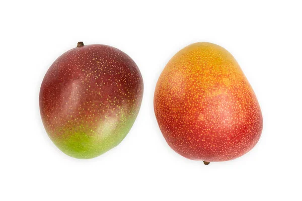 Juicy Dessert Mango Isolated White Background Fresh Bio Fruits — Stockfoto