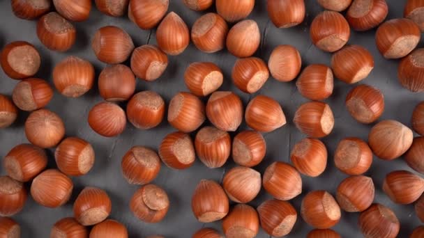 Peeled hazelnuts pattern, top view. Bio nuts on gray background. — Vídeo de Stock