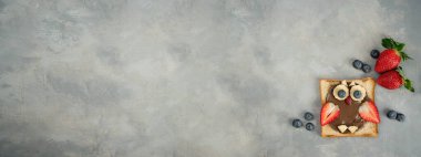 Çocuk kahvaltısı ya da öğle yemeği ya da fındıklı tost, muz, çilek ve baykuş şeklinde yaban mersini..