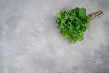 Nane, nane şekeri, nane şekeri ve gri arka planda sicimle tutturulmuş. Nane aromalı yapraklar. Naneli şeker. BIO Nanesi.