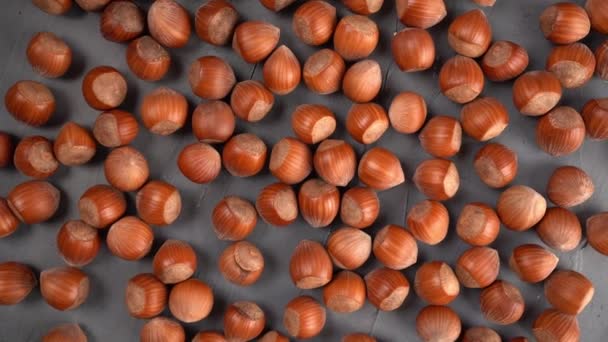 Peeled hazelnuts pattern, top view. Bio nuts on gray background. — Vídeo de Stock