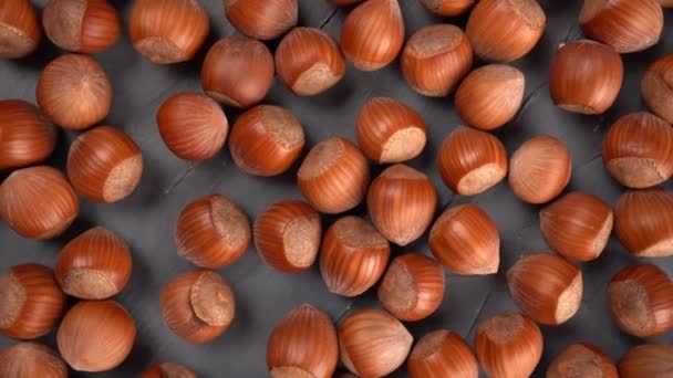 Peeled hazelnuts pattern, top view. Bio nuts on gray background. — Wideo stockowe