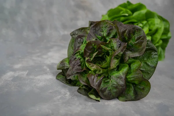 Juicy Leaves Lettuce Isolated Gray Background Fresh Lolo Salad — Stock Photo, Image