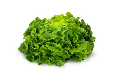 Beyaz arka planda izole edilmiş sulu marul yaprakları. Taze lolo salatası..