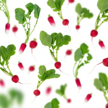 Yaprakları dökülen taze turp. Sağlıklı beslenme ve beslenme konsepti. Tam ve dilimlenmiş taze turplar kompozisyon ve tasarım elementleri. Taze BIO sebzeleri