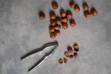 Arka planda fındık kıracağı olan fındıklar. Fındık manzaralı. Biyo fındık.