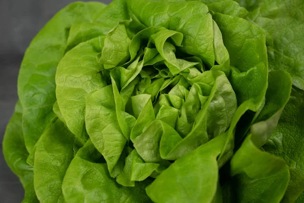 Close Juicy Leaves Lettuce Isolated White Background — Stock Photo, Image