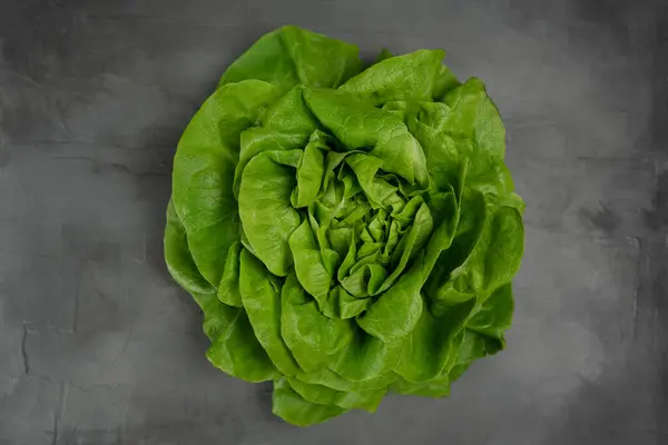 Juicy Leaves Lettuce Isolated Gray Background Fresh Lolo Salad — Stock Photo, Image