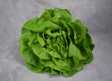 Gri arka planda sulu marul yaprakları. Taze lolo salatası..