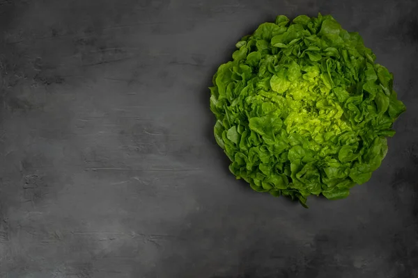 Juicy Leaves Lettuce Isolated Gray Background Fresh Lolo Salad — Stock Photo, Image