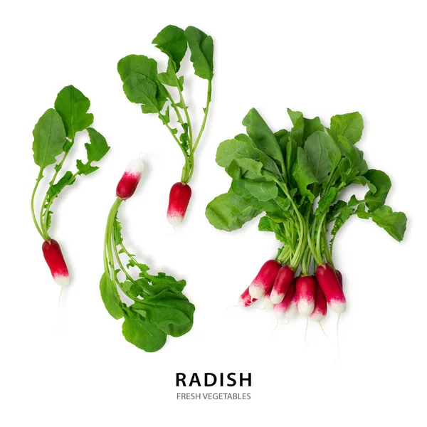 Fresh Red Garden Radish Isolated White Background Raw Vegan Healthy — Stock Photo, Image