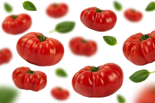 Tomates Folhas Manjericão Caindo Isolado Fundo Branco Fresh Bio Vegetais — Fotografia de Stock