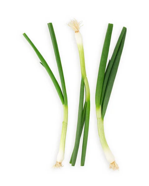 Świeża Zielona Cebula Lub Szalotki Lub Wiosenna Cebula Organiczne Warzywa — Zdjęcie stockowe