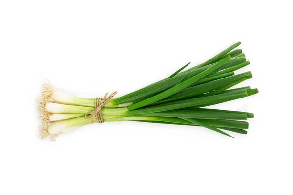 Färsk Grön Lök Eller Scallions Eller Vårlök Ekologisk Grönsak Smaklig — Stockfoto