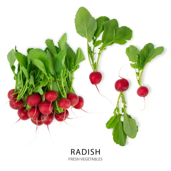 Fresh red garden radish isolated on white background — Stock Photo, Image