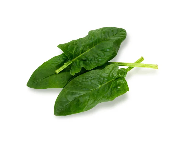 Spinach Leaf Isolated White Background Fresh Green Spinach Top View — Stock Photo, Image