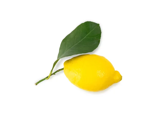 Limón con hoja verde aislado sobre fondo blanco, camino de recorte — Foto de Stock
