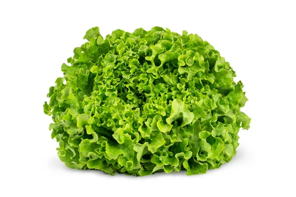 Сочные листья салата выделены на белом фоне. Свежий салат лоло. — стоковое фото