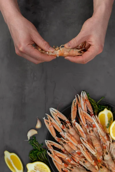 Male hands cleaning boiled langoustines on black plate isolated on gray concrete table. Served with lemon and spicy herbs.