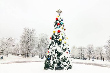 Parktaki zarif Noel ağacı karla kaplı.