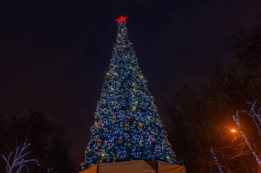 Parktaki Noel ağacı ve parlak süslemeler.