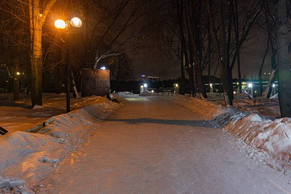 Caminho Inverno Noite Parque — Fotografia de Stock