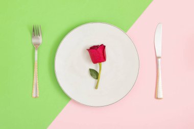 Renkli bir masada, pastel renkler, düzgün sıralanmış bıçak, çatal ve tabak. Yemek için kırmızı bir gül servis edildi. Romantik bir akşam yemeği. Sevgililer Günü.