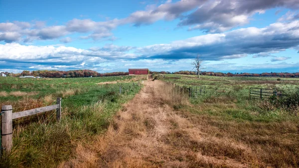 Krajobraz Wiejski Starą Zarośniętą Drogą Prowadzącą Rustykalnej Czerwonej Stodoły Polu — Zdjęcie stockowe