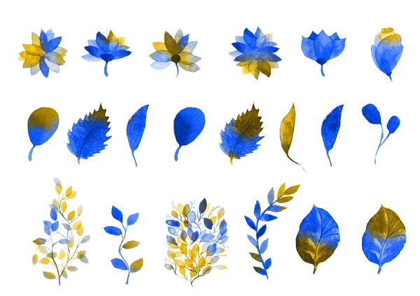 Українські квіти. Жовті блакитні квіти і листя. Ватерколірна ілюстрація. — стокове фото