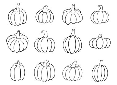 Beyaz arkaplanda izole edilmiş balkabağı clipart vektör tasarımı çizimi
