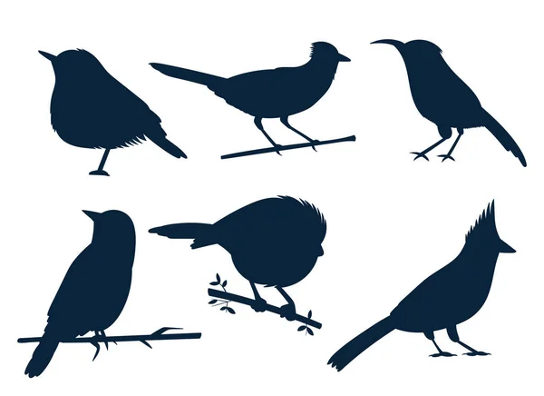 Birds Set Vector Design Illustration Isolated White Background — 图库矢量图片