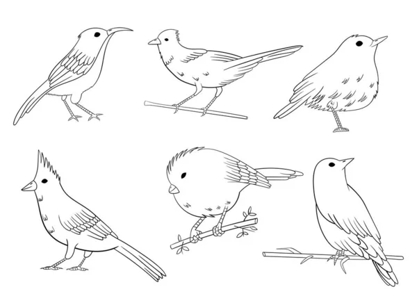 Birds Set Vector Design Illustration Isolated White Background — 图库矢量图片